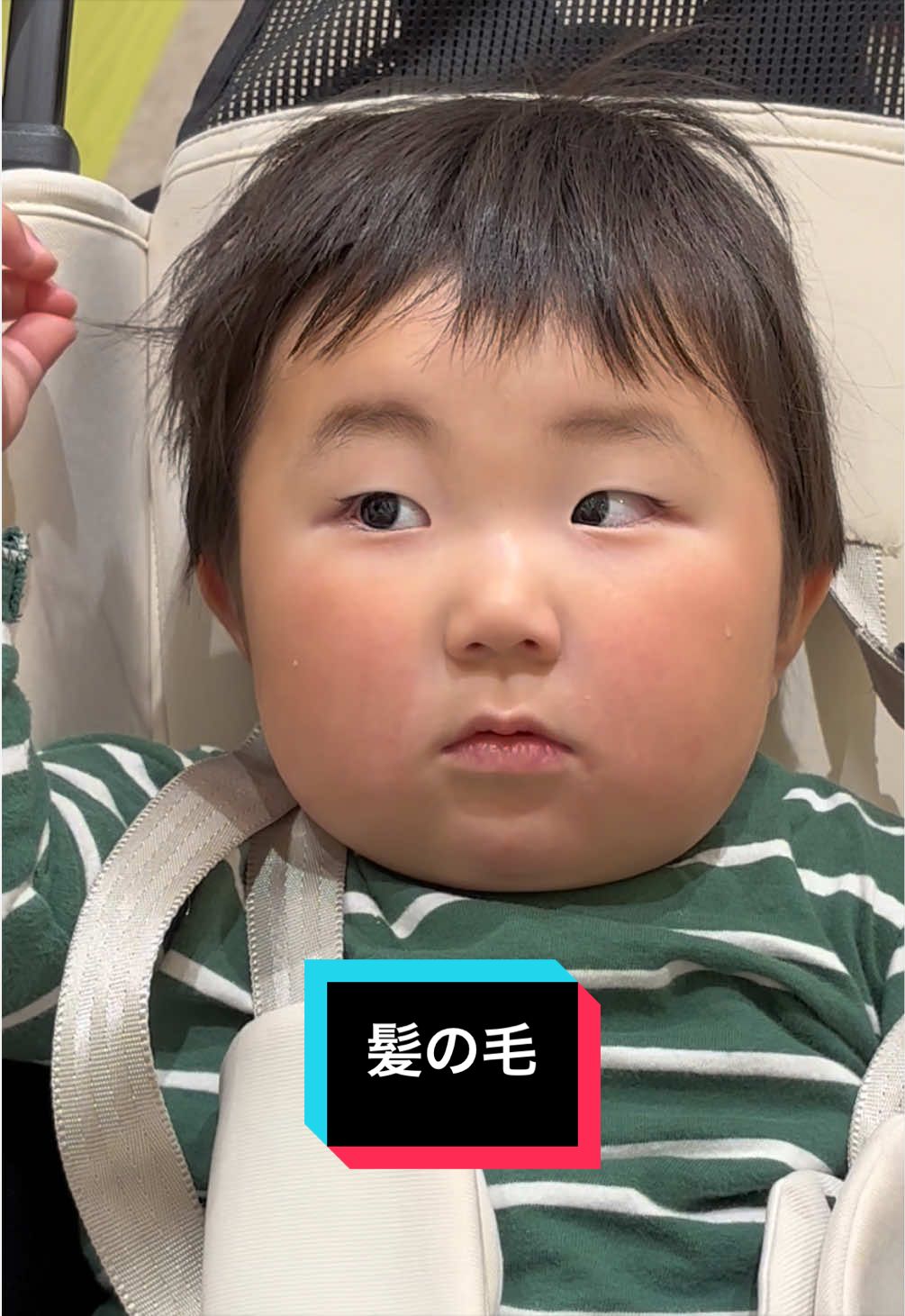 @ぬぬまる