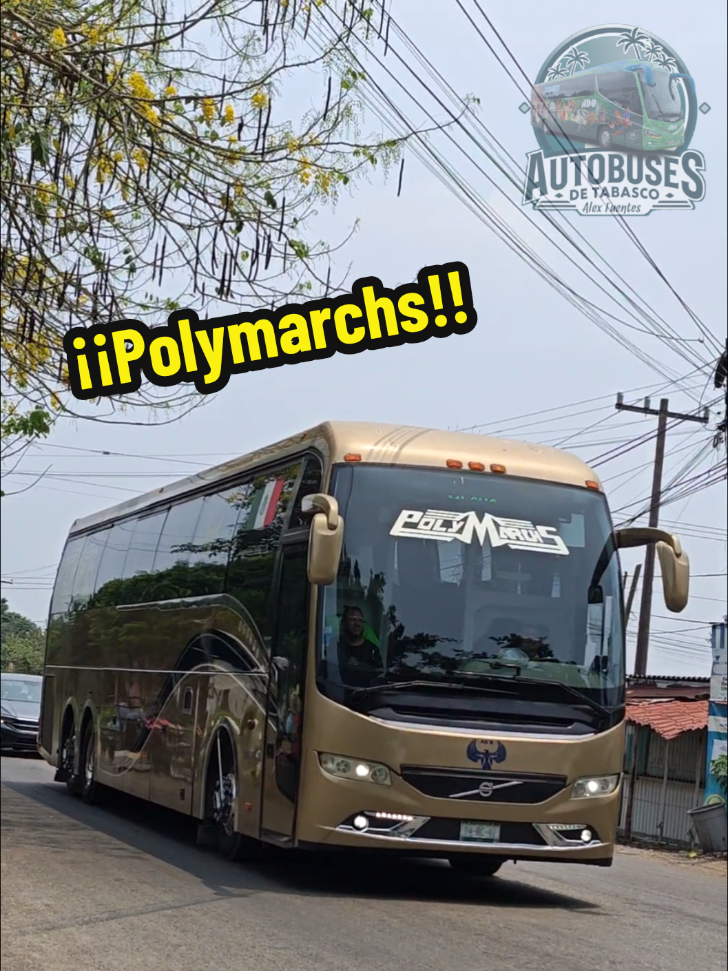 @Autobuses de Tabasco