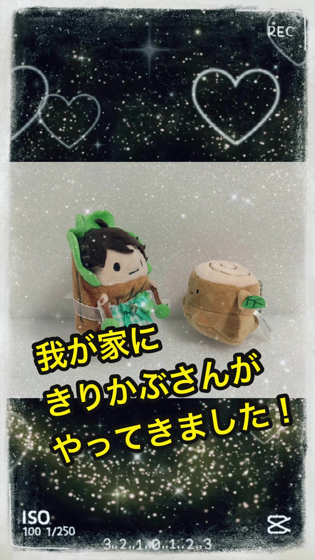 @ぴこたろう🍃 5/24a! 7/5星願💫