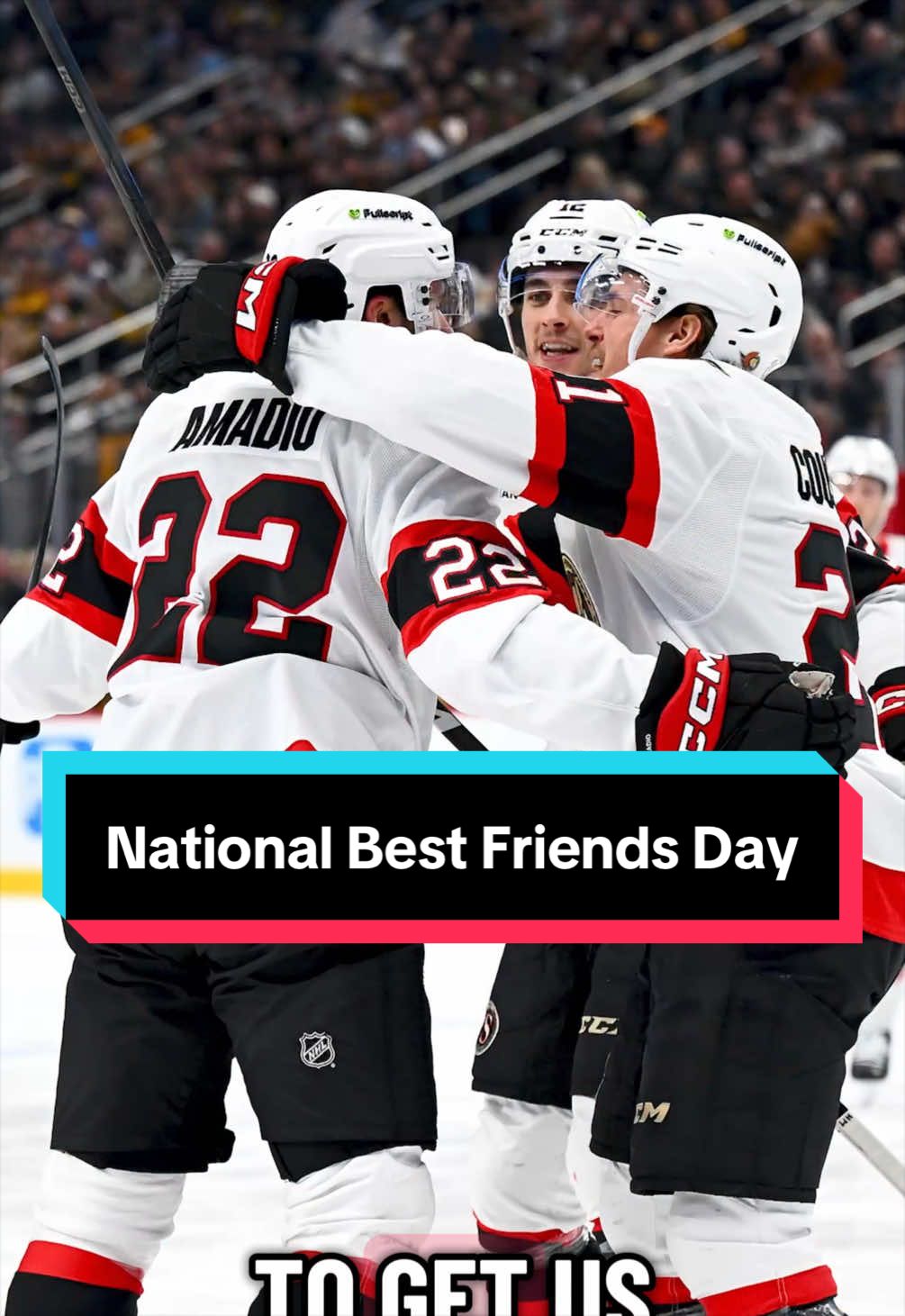 @Ottawa Senators