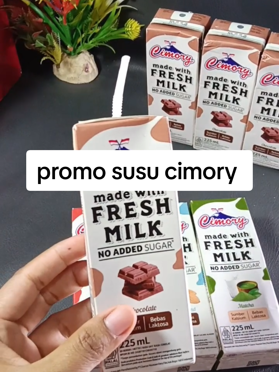 @zellaycel02