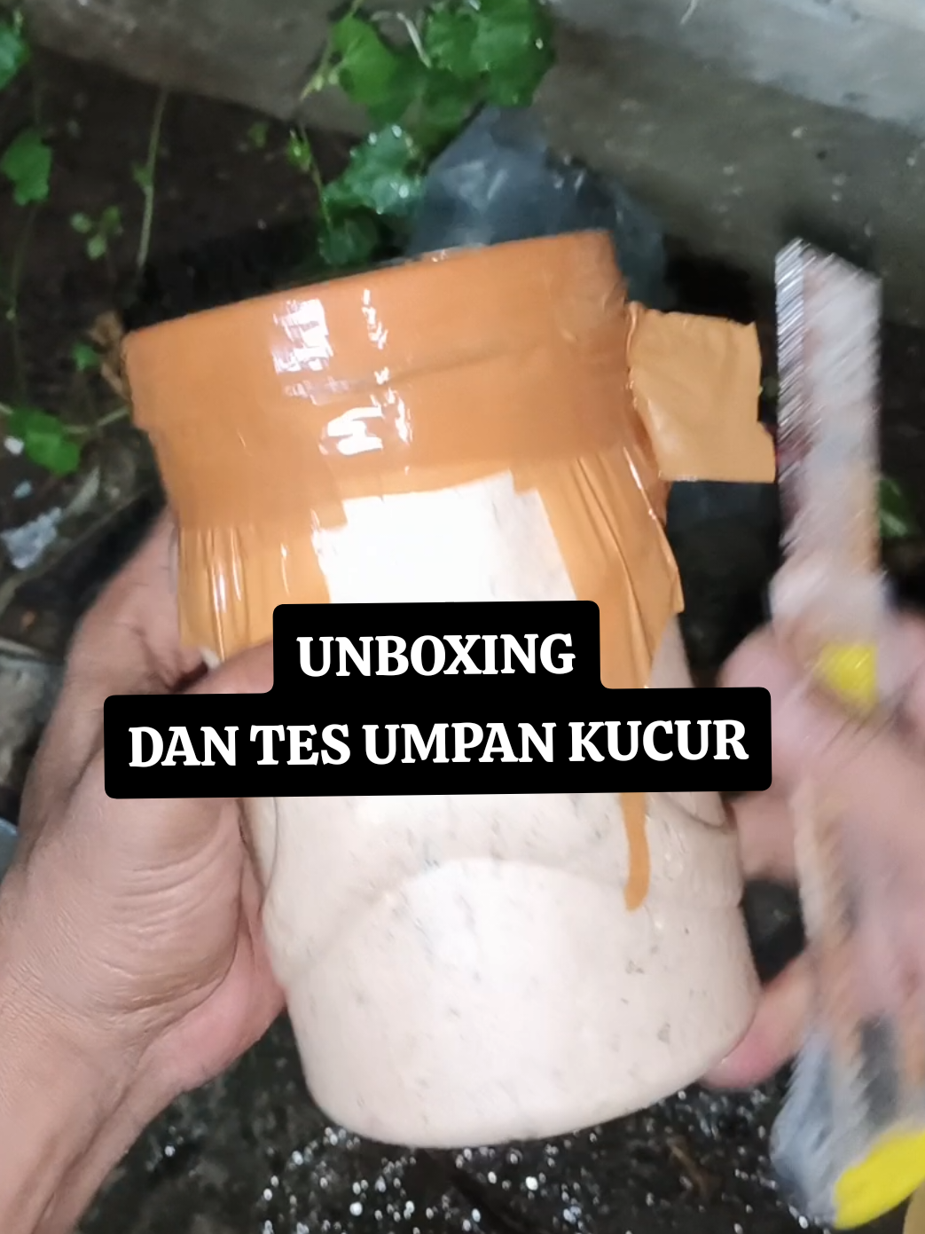 @Ketapel indonesia17