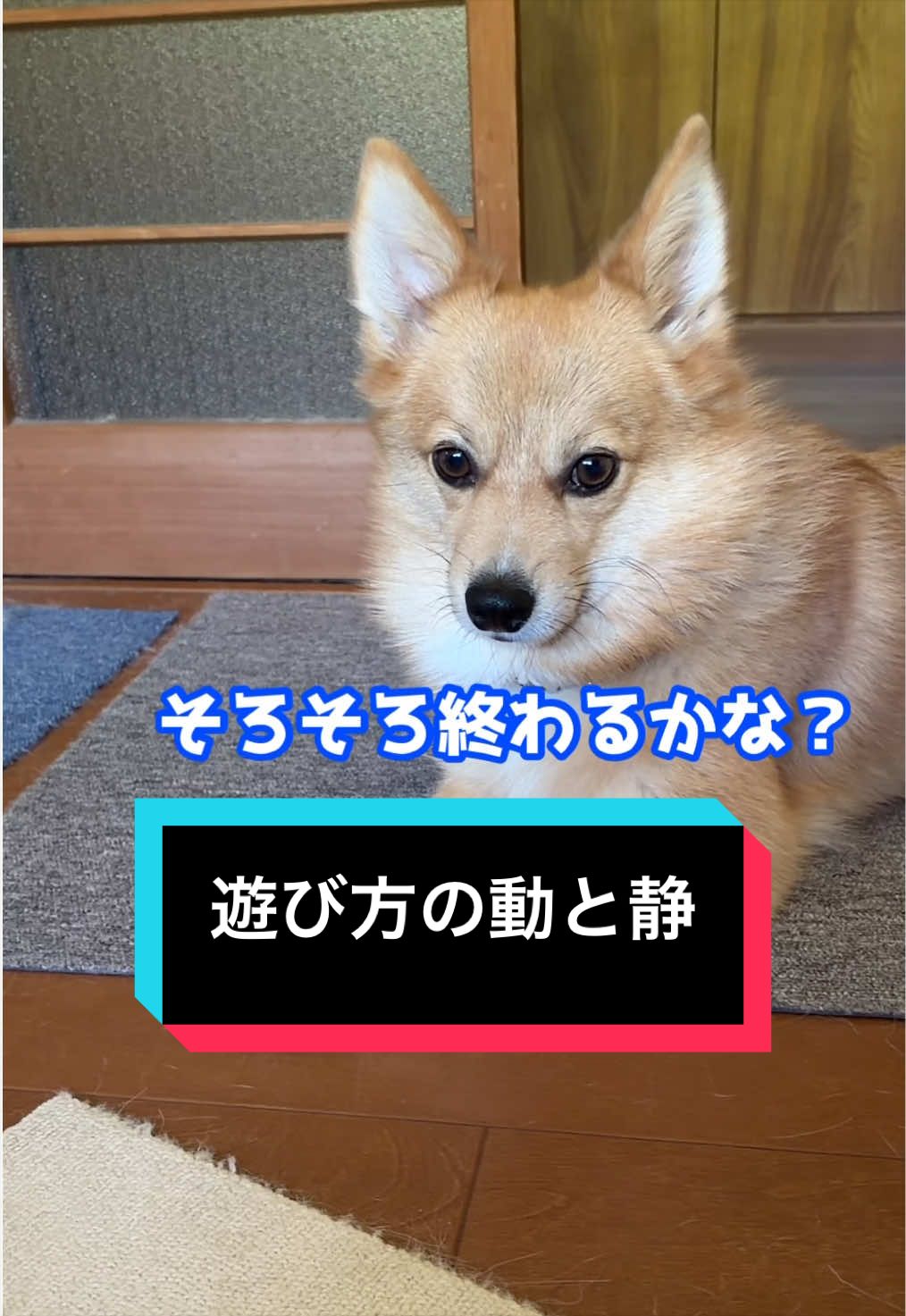 @サクサクビスケット