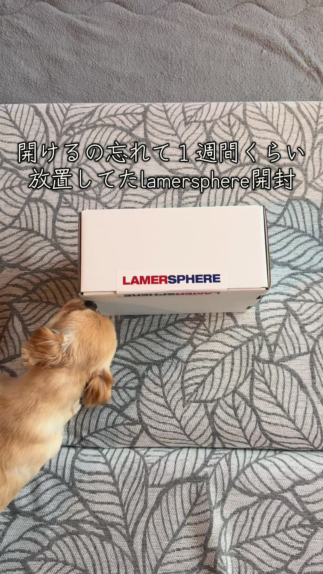 @犬とhiphop