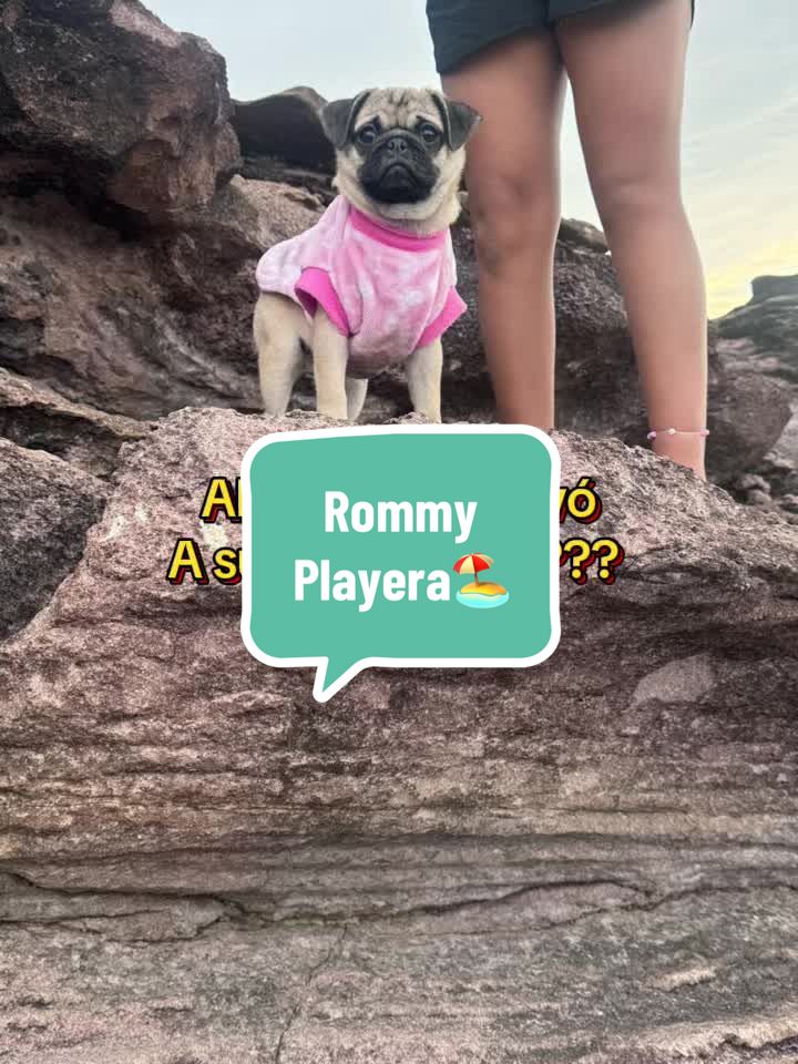 @Babypug