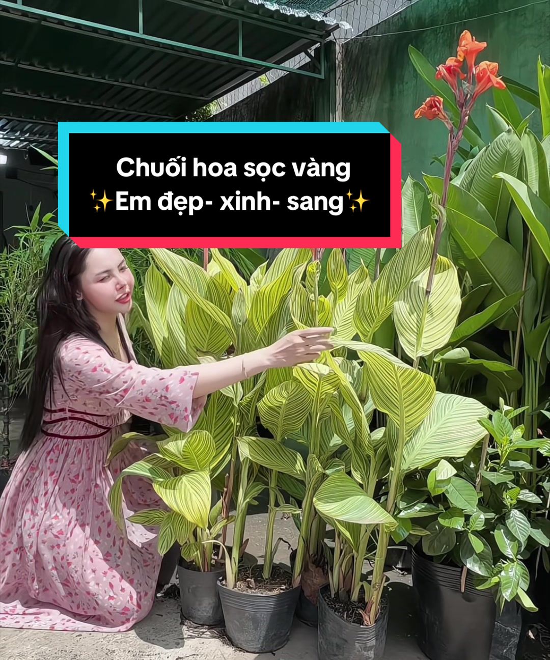 @Tiệm Lá Nhỏ