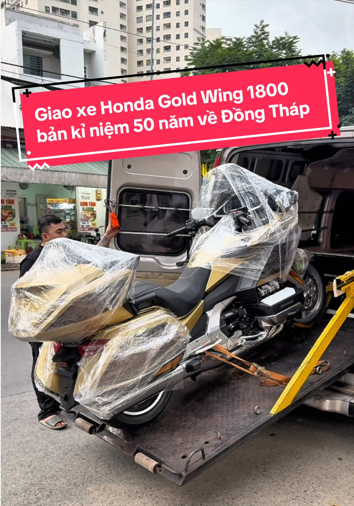 @Quốc Cường Cub House