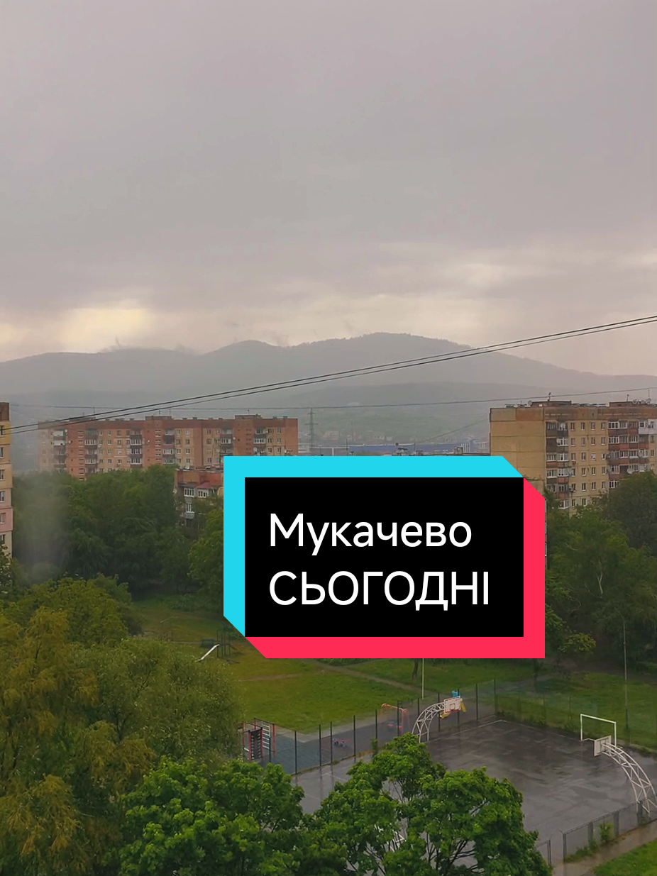@Marinov_off