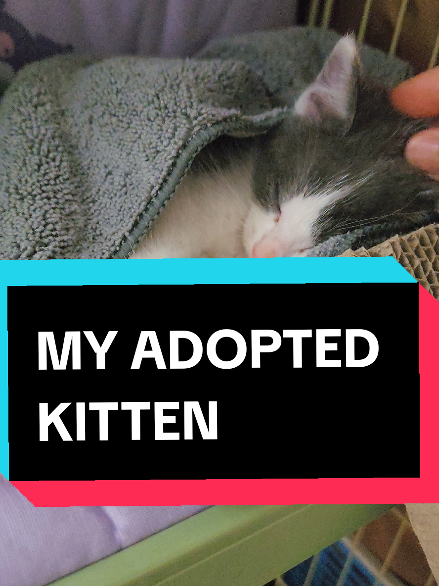 @MARILYN