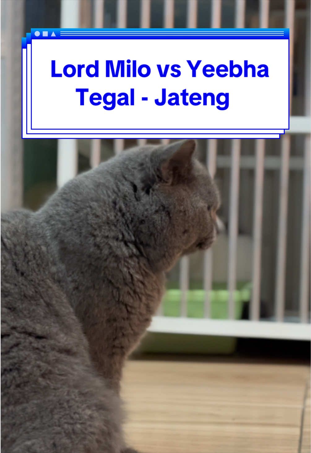 @Jasa Pacak BSH