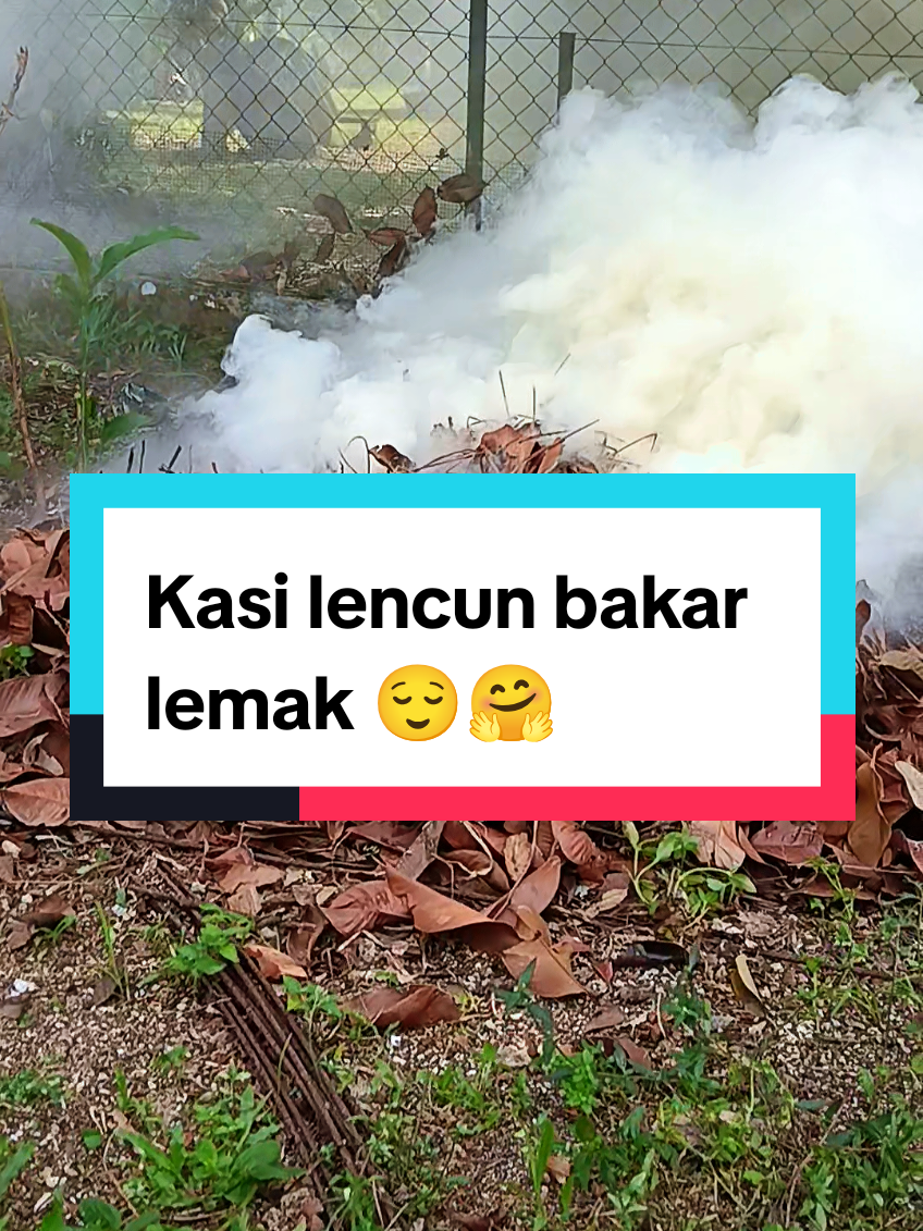 @ᗩᗪᑌᖇᗩ_ᗩᗰIᑎ