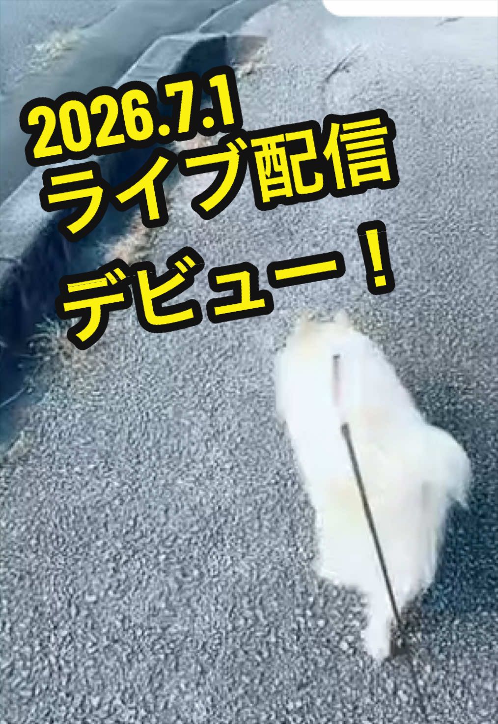 @沖縄やすじぃー