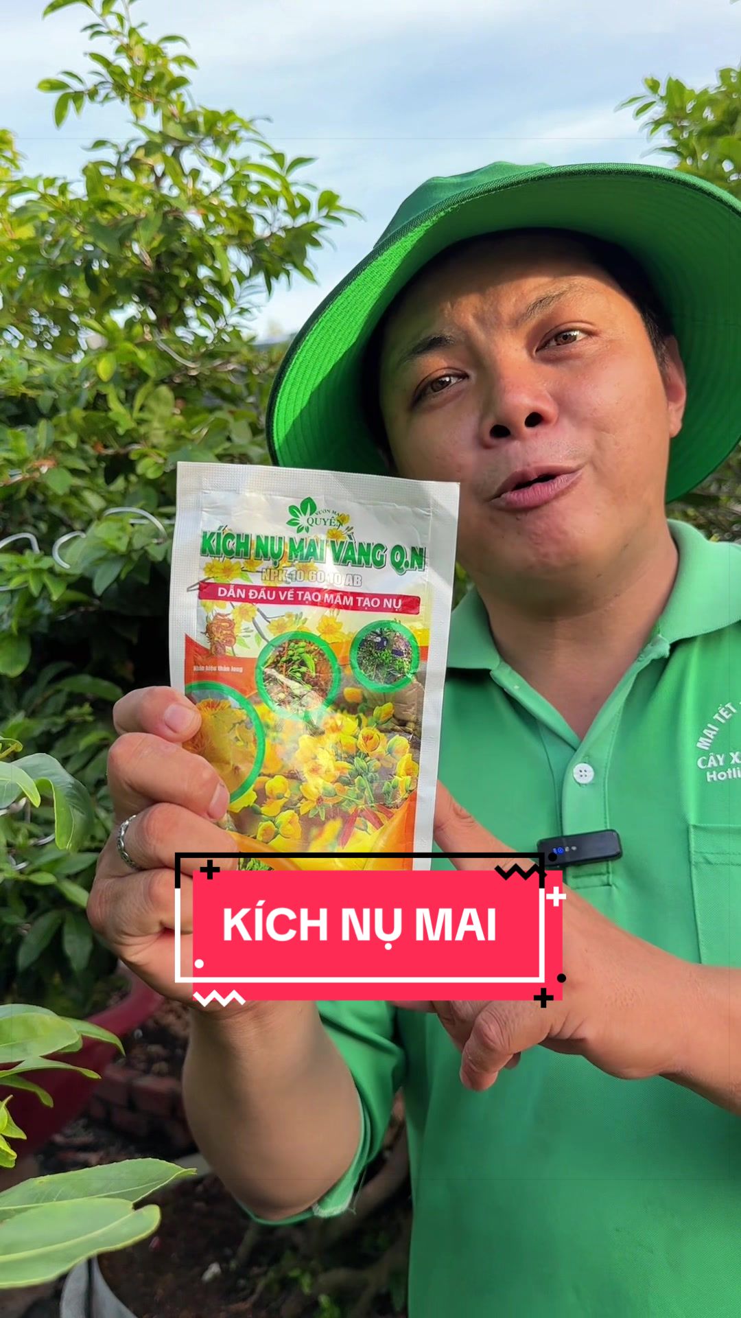 @Cây Xanh Phong Hồng