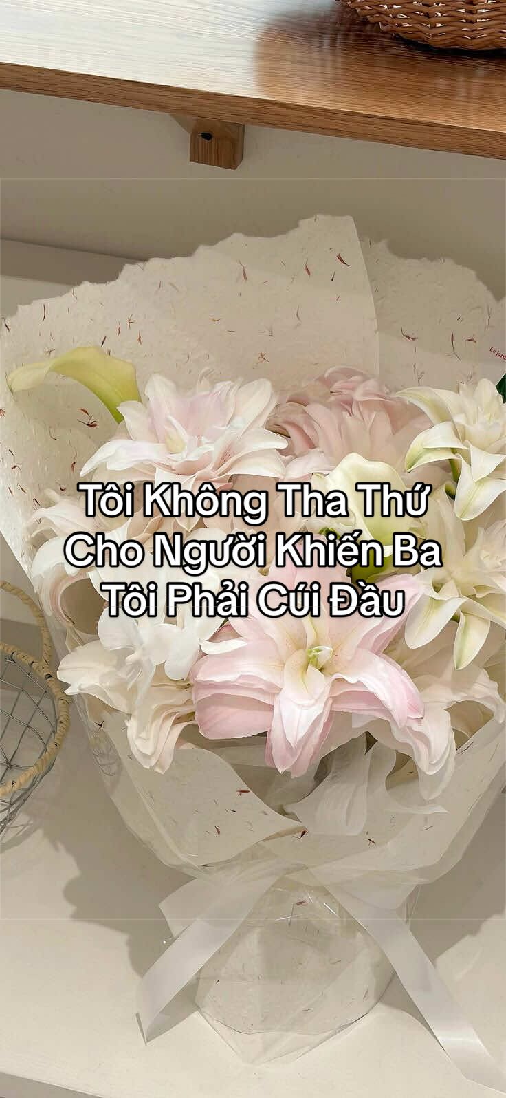 @Bạch Lang Audio🌷