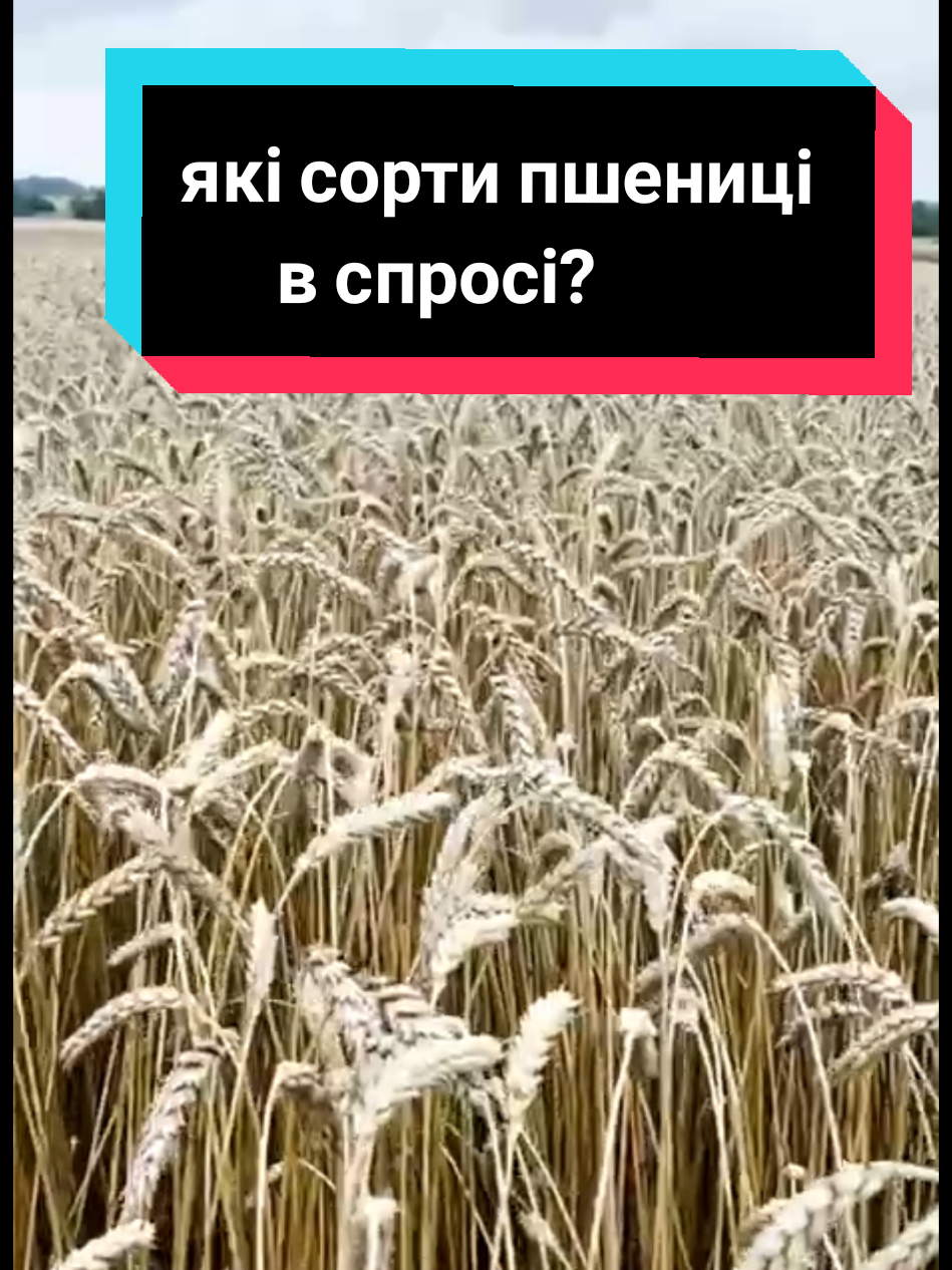 @Анатолій ТД Сварог агро