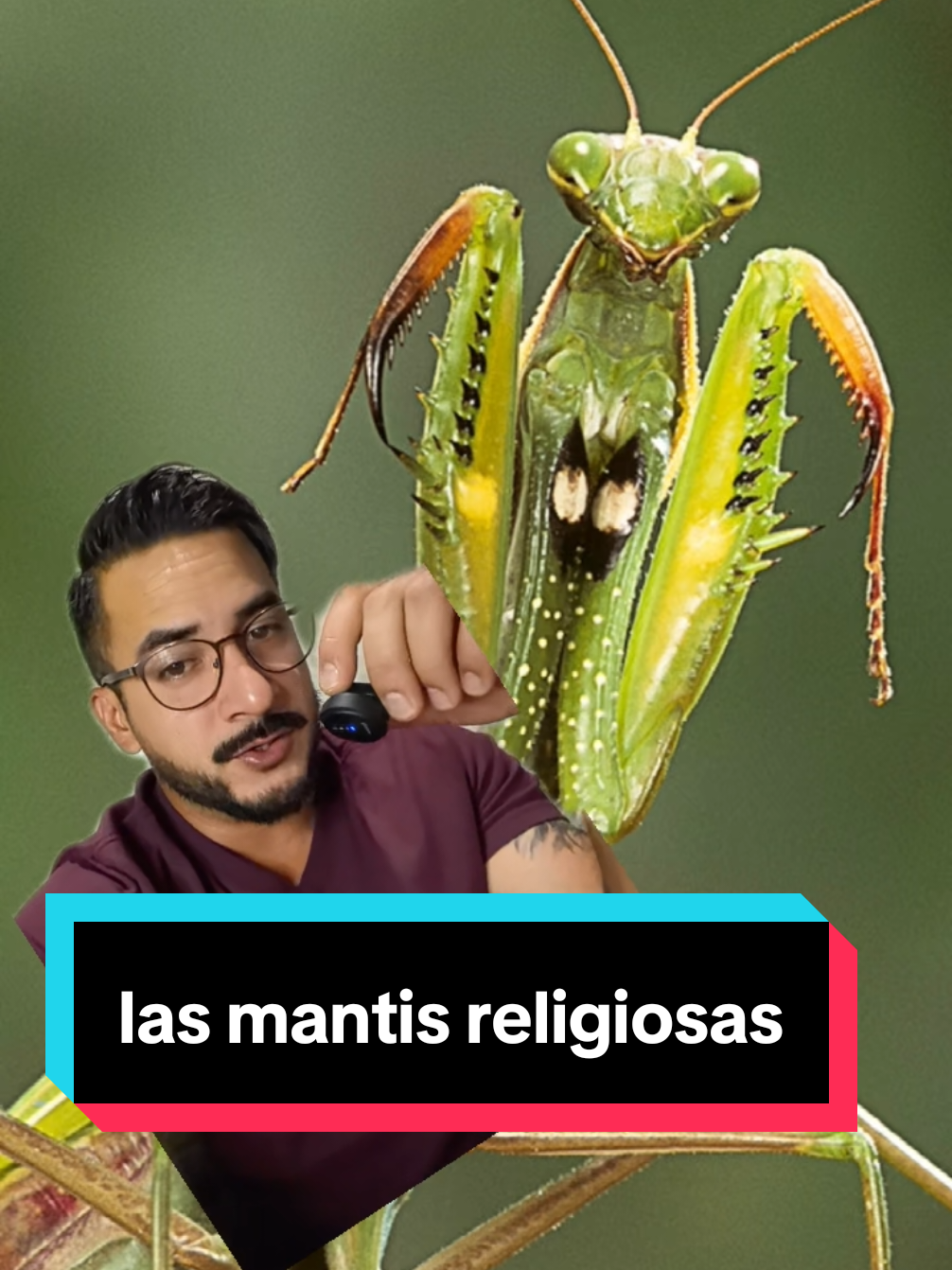 @nolosejose