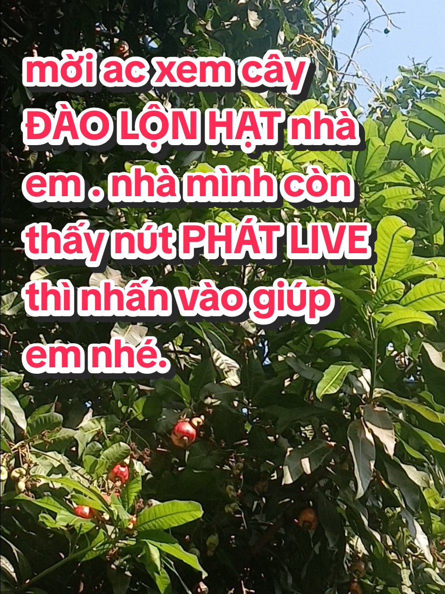 @Tạp h&oacute;a Khang Khang