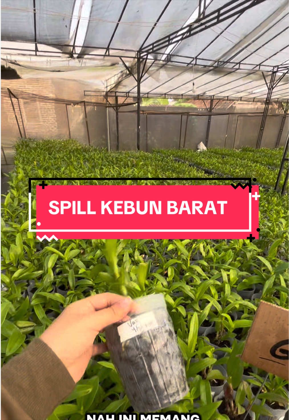 @Griya sekarindo utama