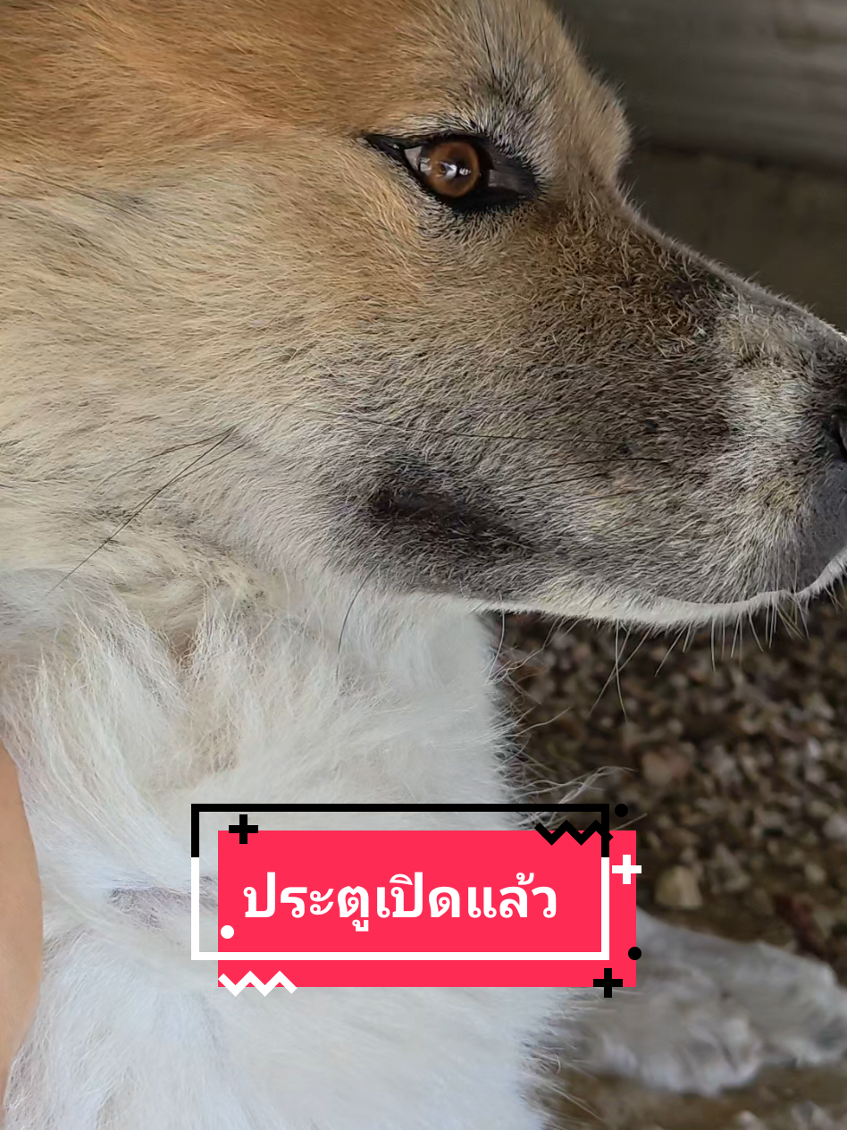 @หลิวหลิว แม่พี่ธอร์