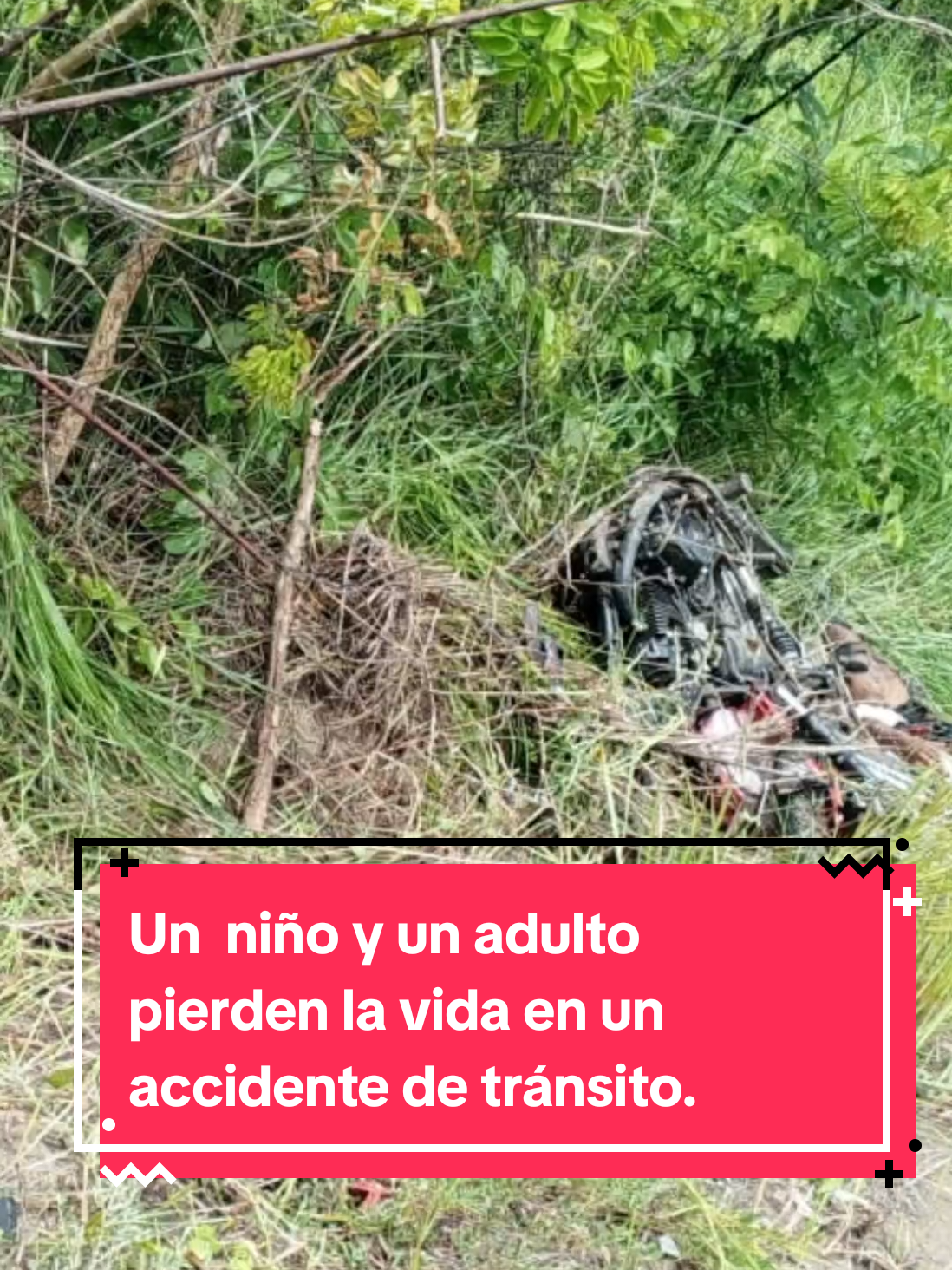 @Andrea Calma