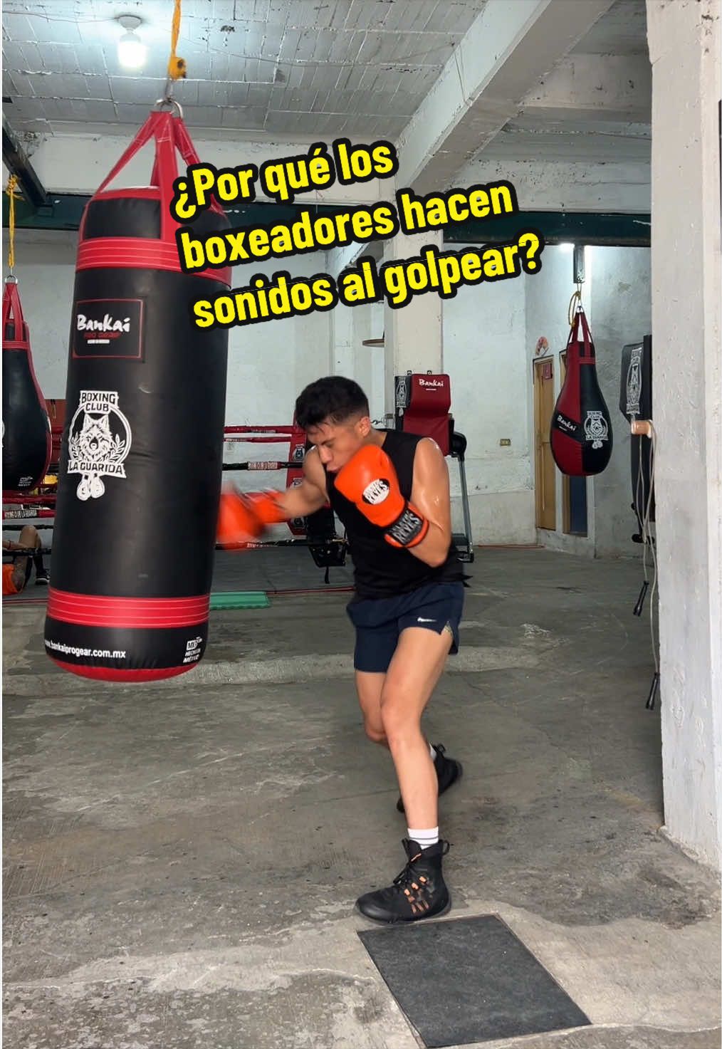 @Eduardo Rodr&iacute;guez