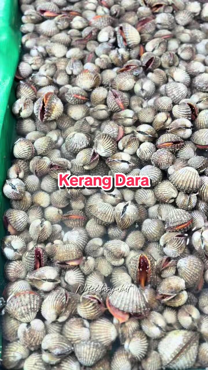 @Nofelita Sijabat