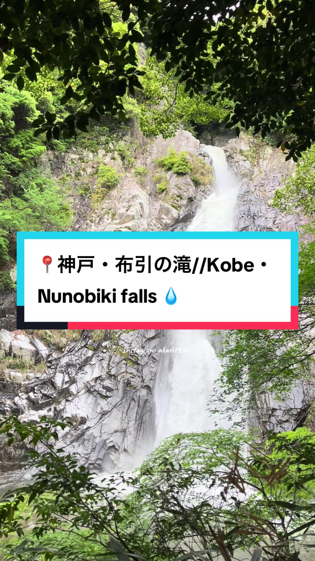 @Akari🧕🇯🇵&times;🇯🇵