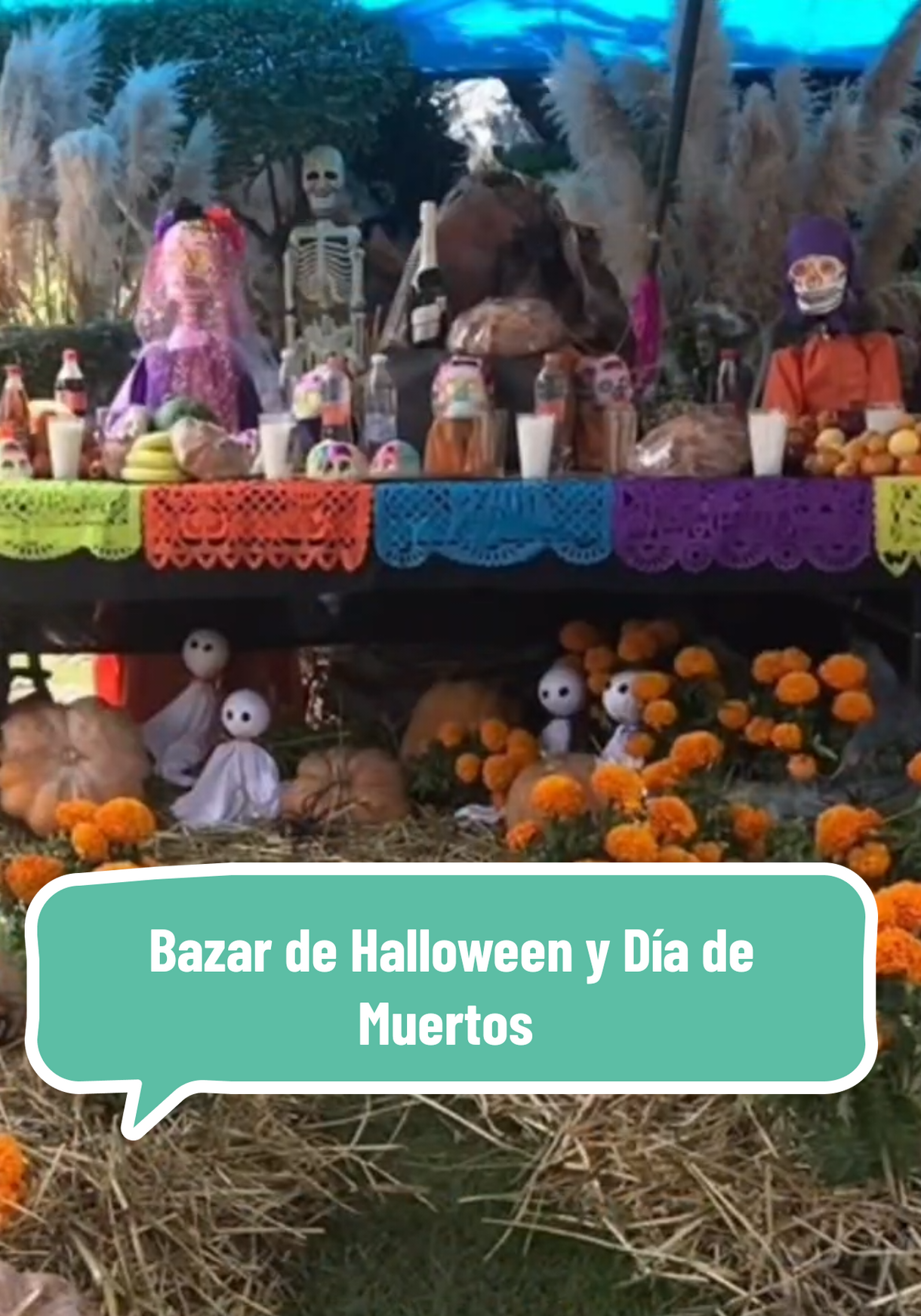 @Carlos Cervantes Godoy