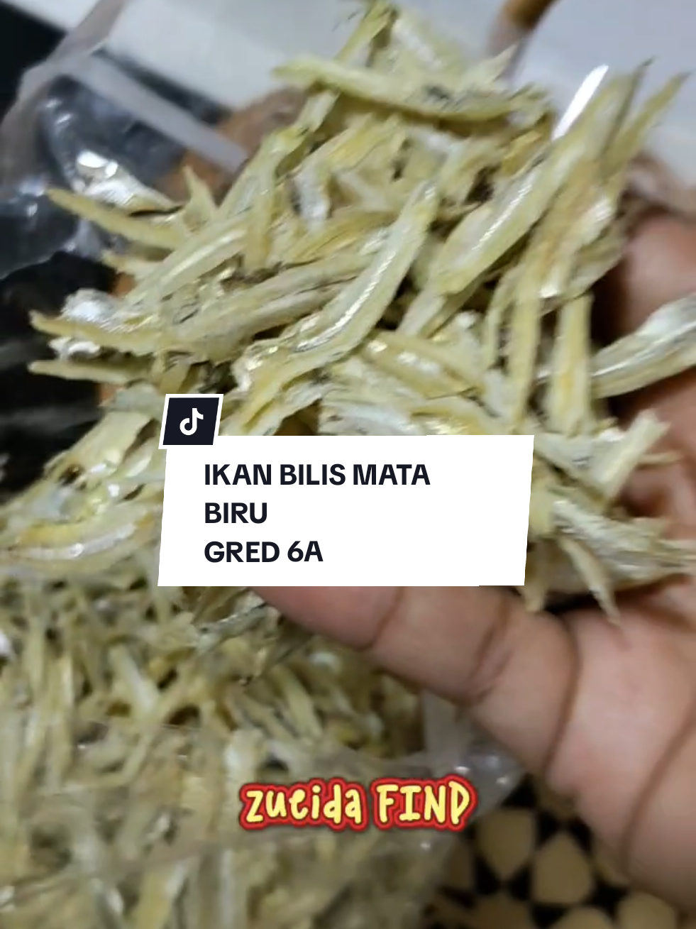 @zueida Finds