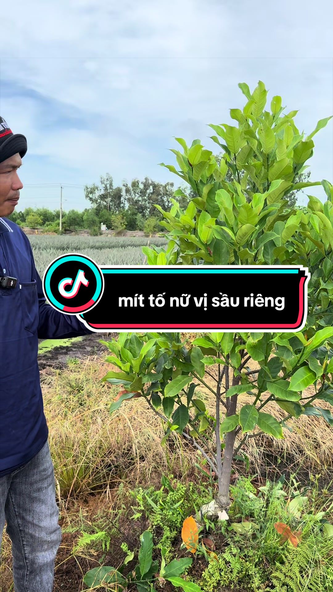 @Anh Ba Khóm