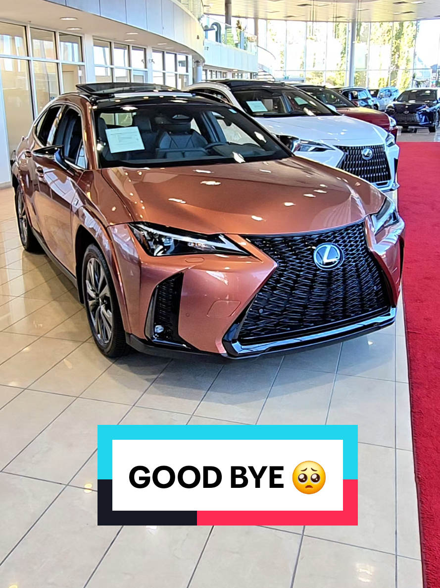 @thelexuswoman