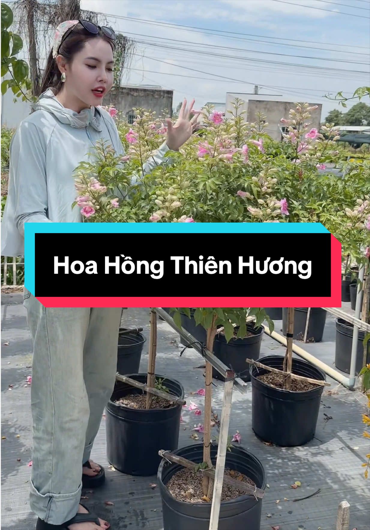 @Tiệm Lá Nhỏ