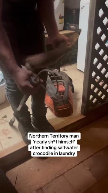 @thentnews