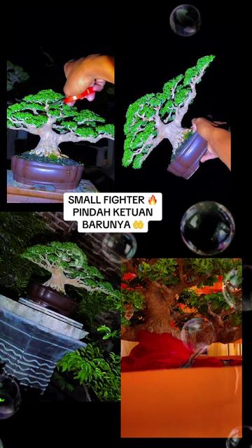 @warbonsai_purwodadi