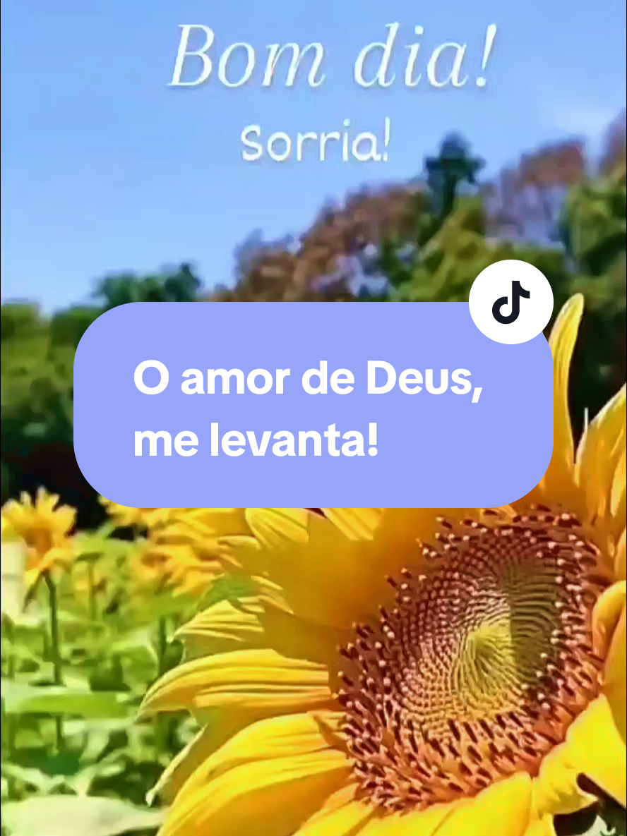 @Cemaremansa