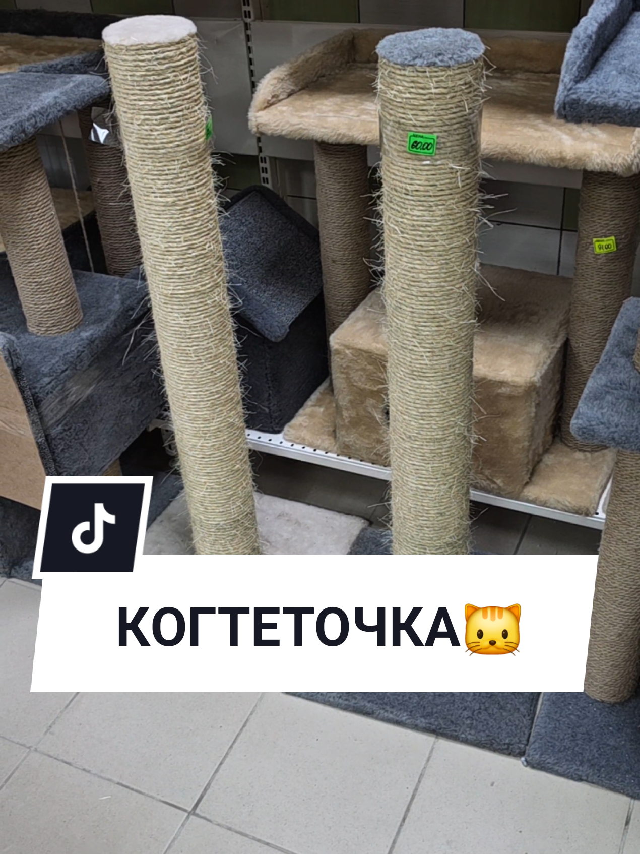 @Аня Бобруйск