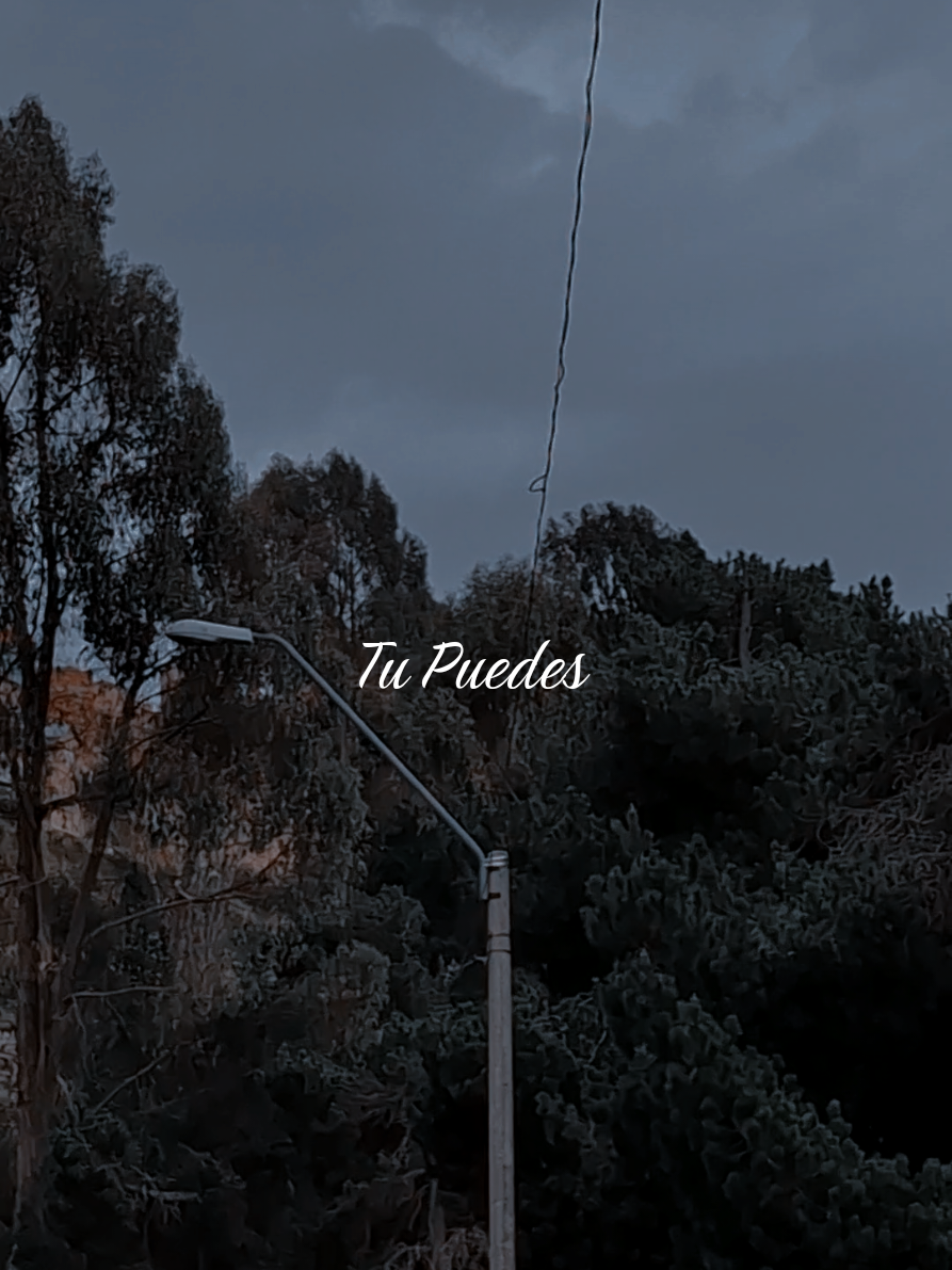 @Adriel Eduardo Gutierrez