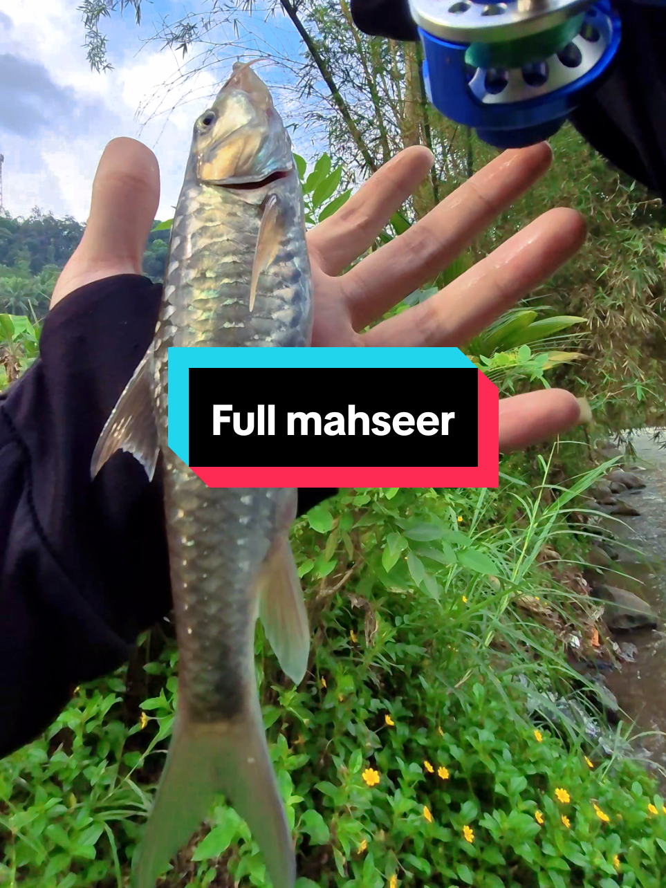 @Mr. Angler