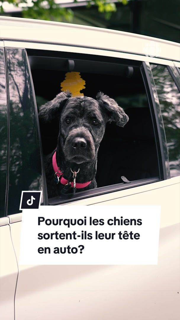 @radio.canada.quebec