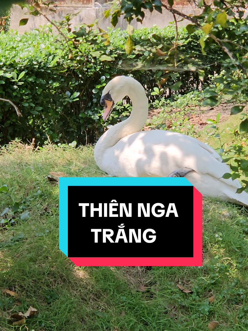 @Sài Gòn Đó Đây