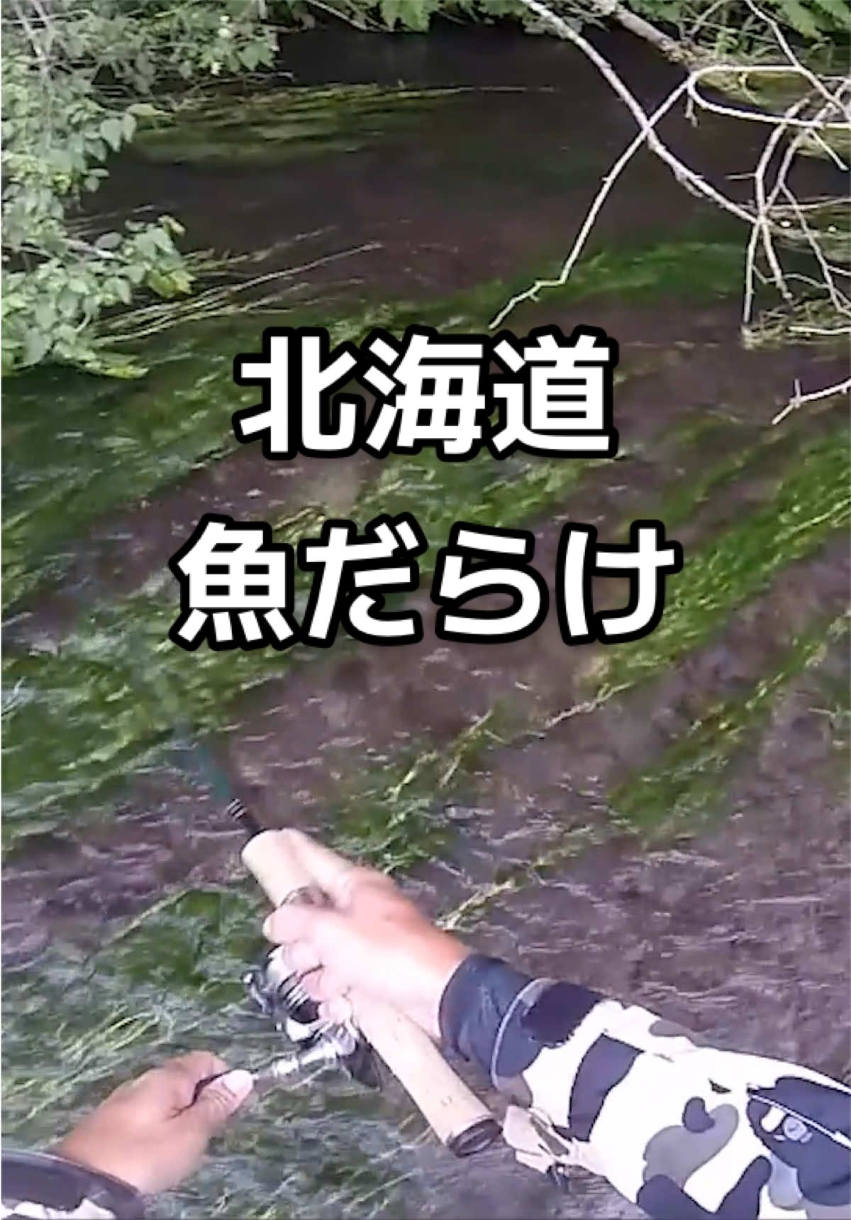 @エルドラド