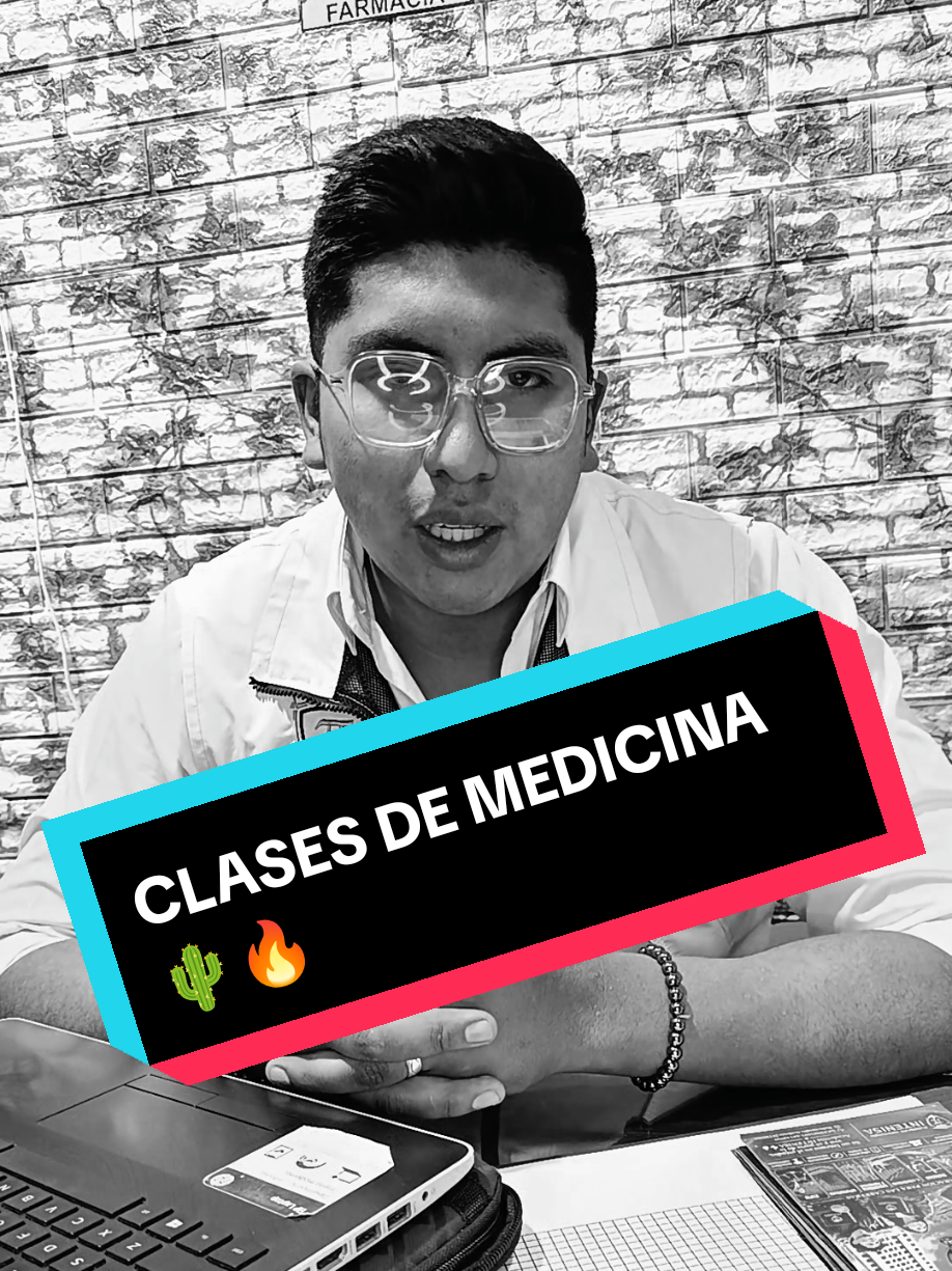 @INTENISA SRL