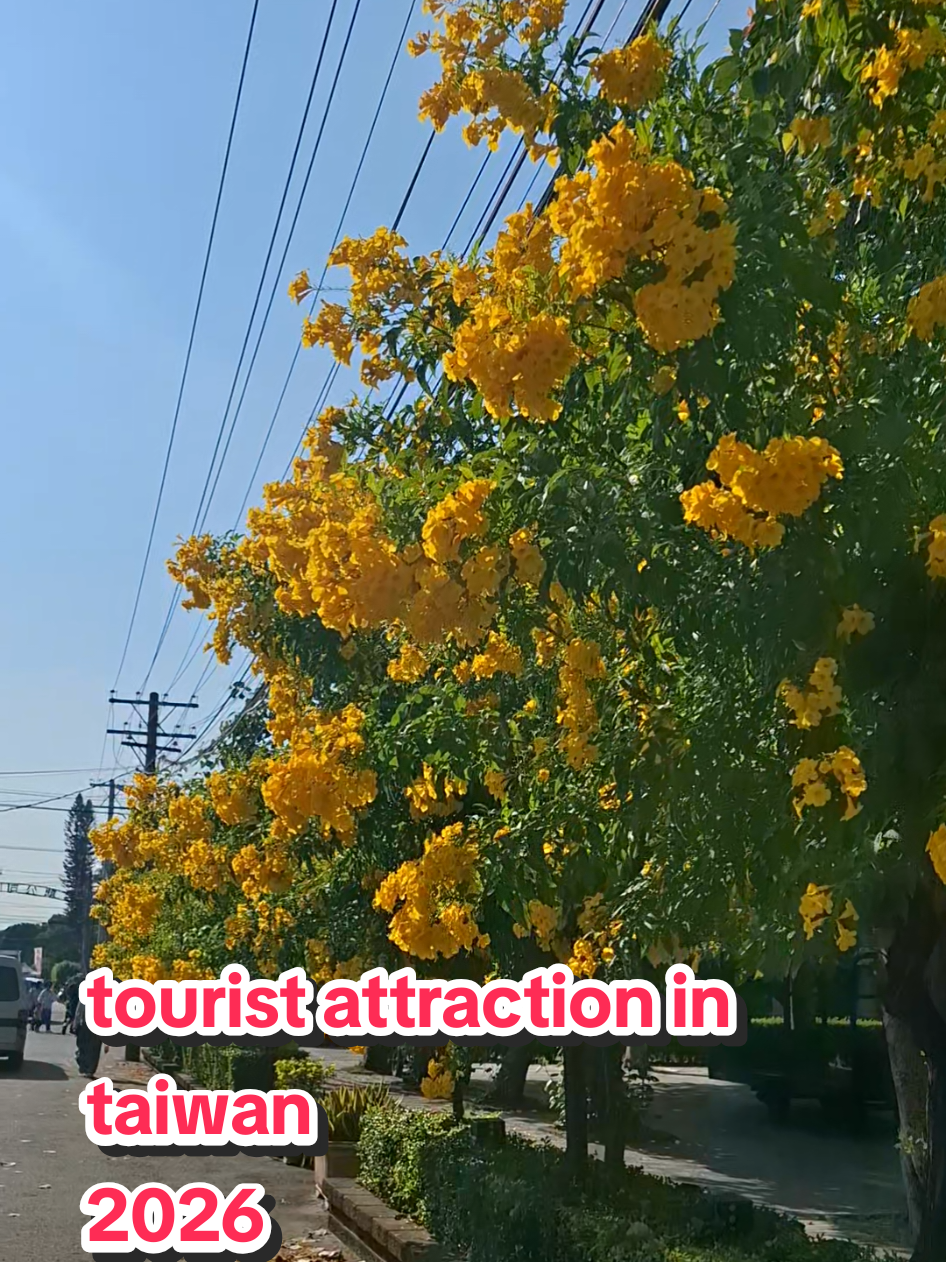 @Zyrich梁保家