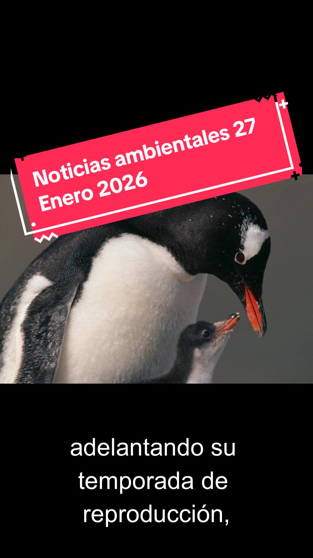 @La Neta Del Ambiente