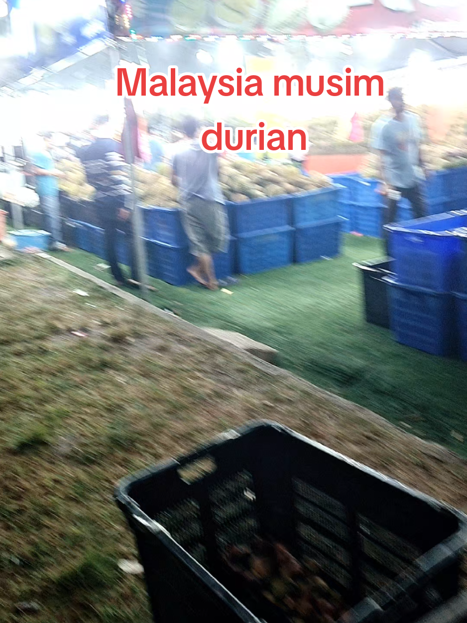 @Barus jamu Nurain