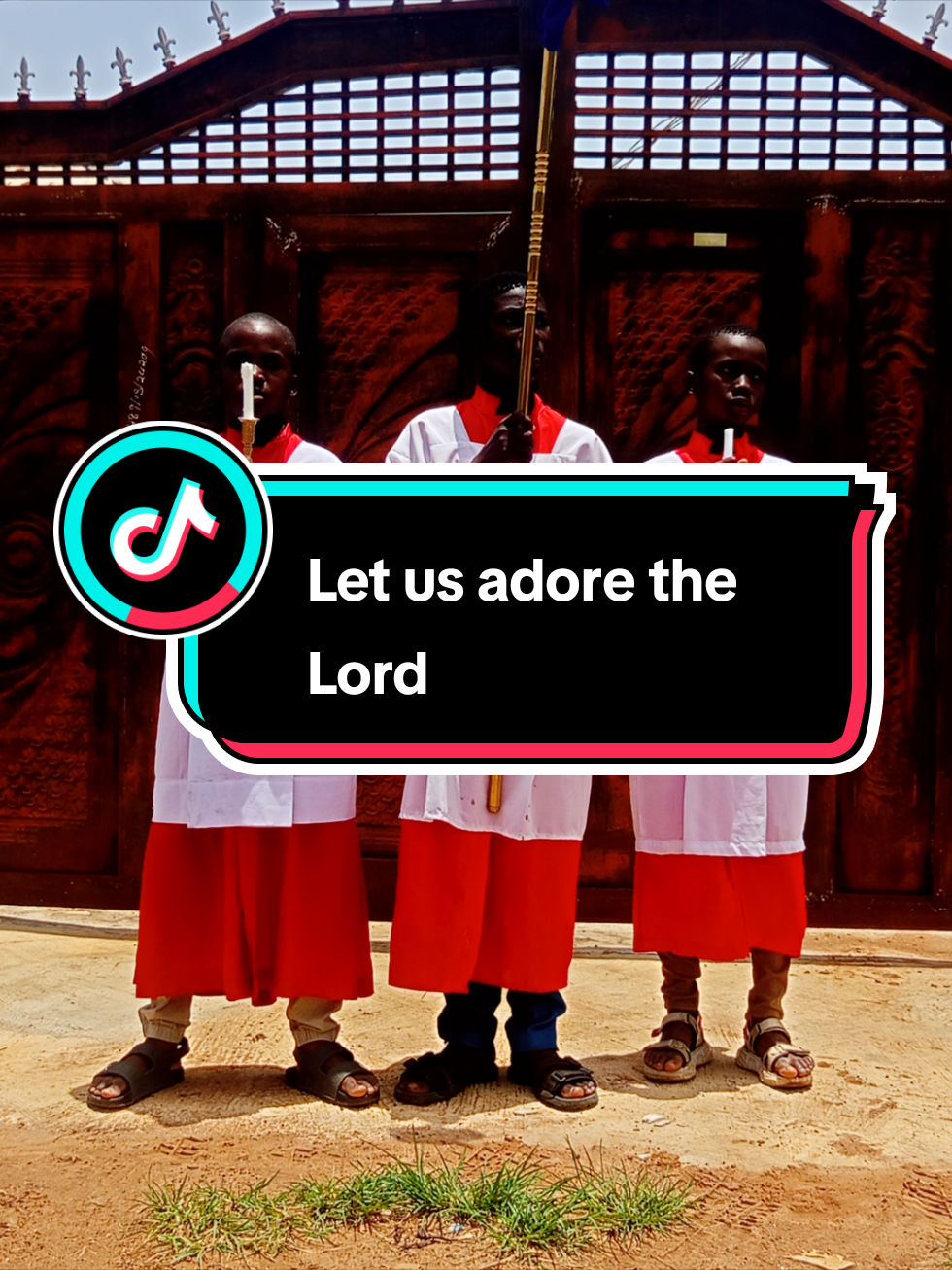 @rev.fr.tonyjemiseye