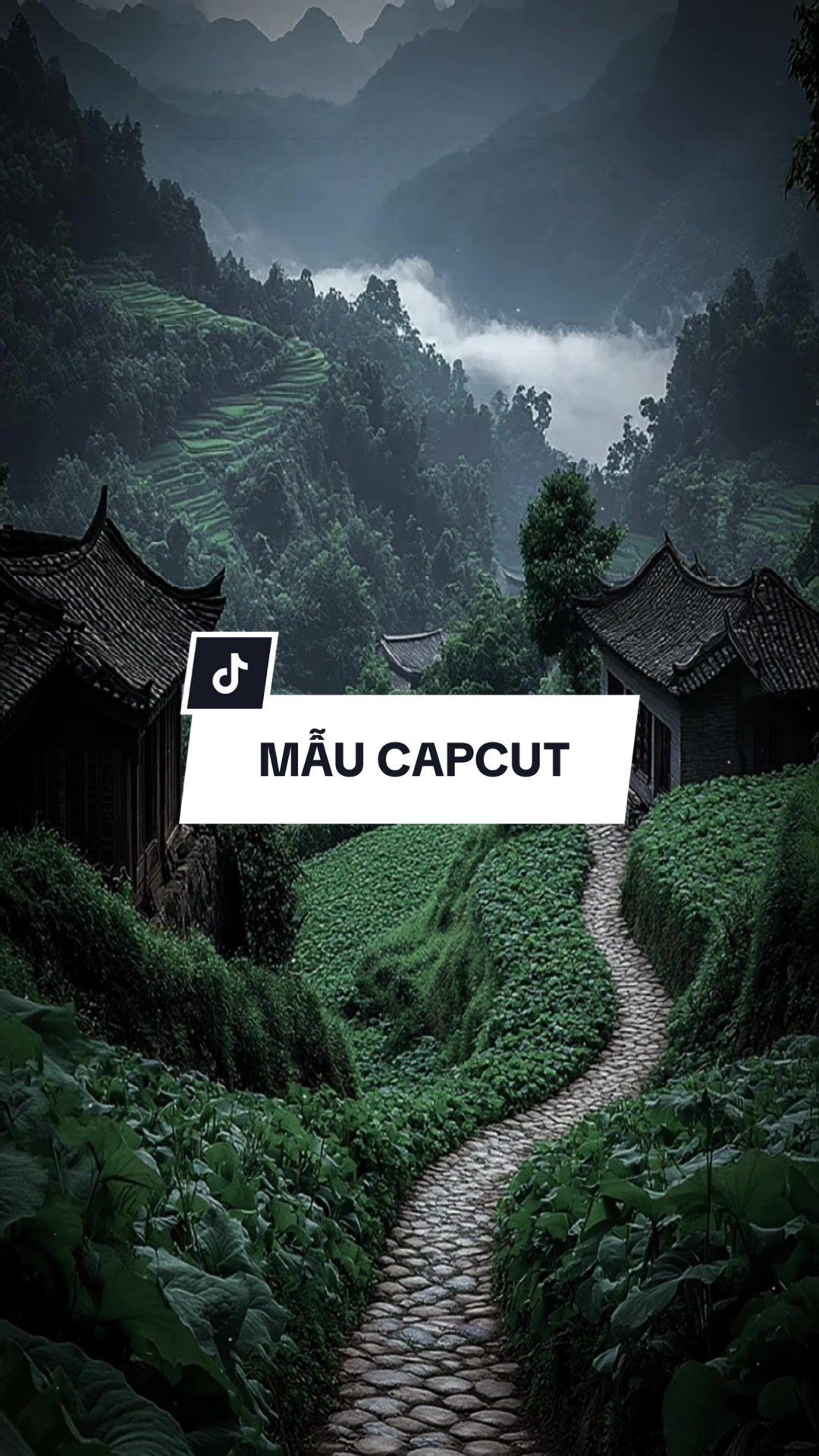 @Tuấn Đô ✌️