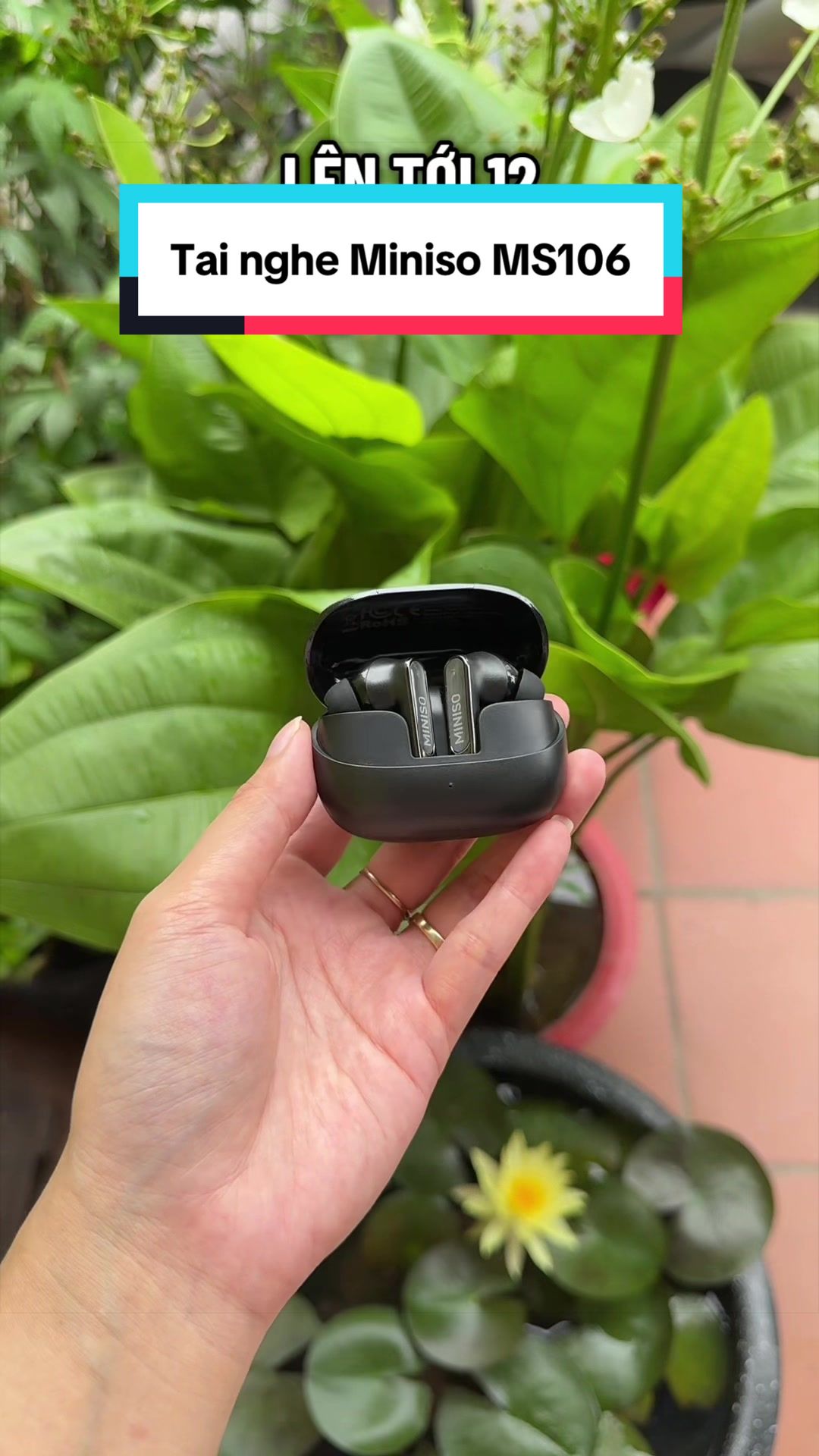 @Tuấn B&igrave;nh Thường