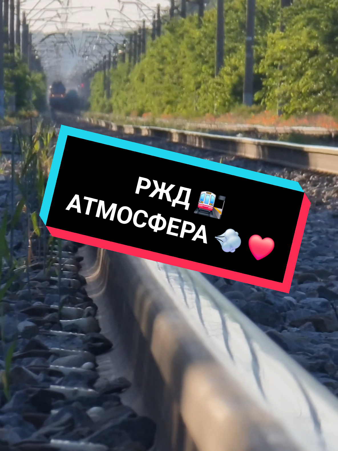 @Дмитрий Шейкин