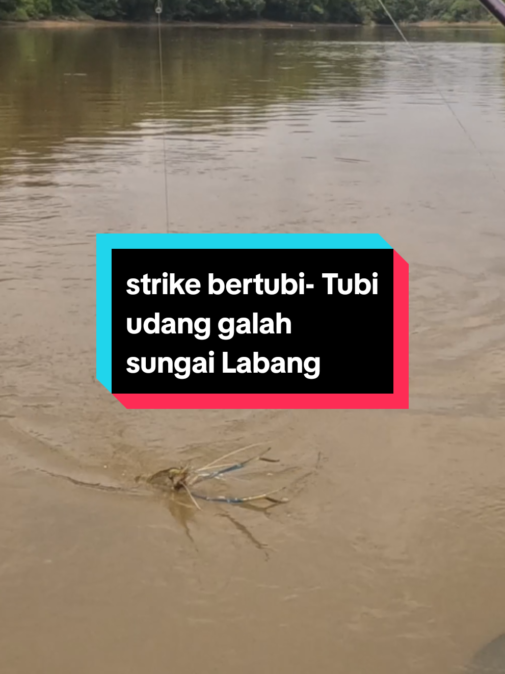 @Lanun Baram